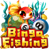 Bingo Fishing cover artwork